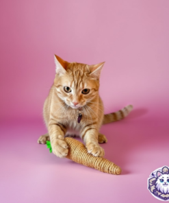 Zanahoria de Henequén para Gatos: Diversión Natural para tu gato