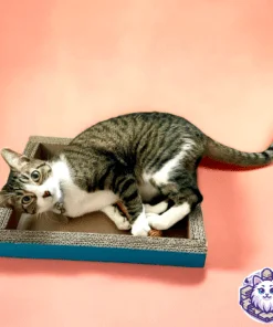 cama para gato de carton