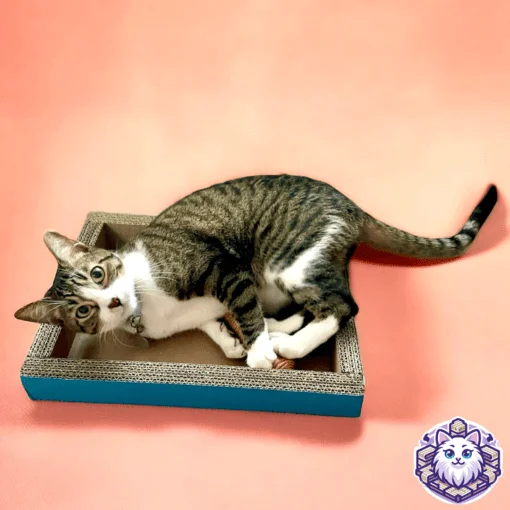 cama para gato de carton