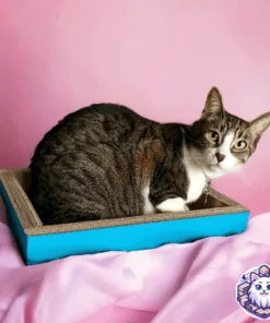 cama para gato de carton