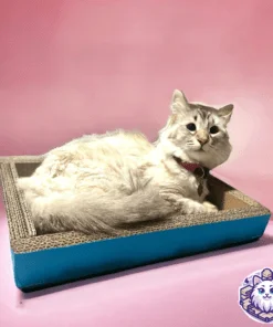 cama para gato de carton