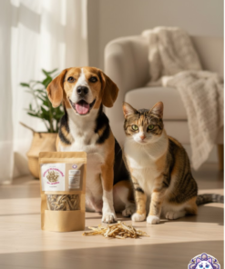 Perro Beagle y gato sentados junto a premios de charales deshidratados 100% naturales de KittyScratch, ricos en Omega 3