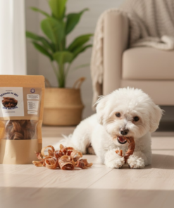 Perro Bichón Frisé masticando un aro de tráquea de res 100% natural de KittyScratch