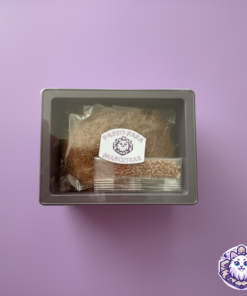 Kit de pasto para mascotas Kittyscratch con maceta, sustrato y semillas.