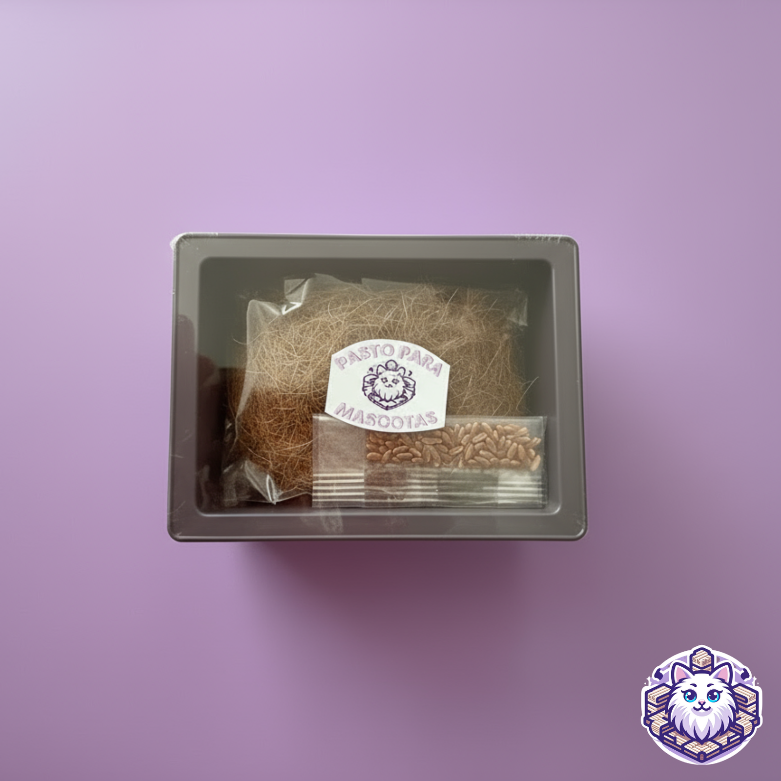 Kit de pasto para mascotas Kittyscratch con maceta, sustrato y semillas.