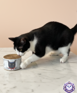 Gato blanco y negro jugando con un juguete rascador en forma de lata.