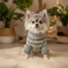 Perro pomerania chiquito usando un suéter de lana y acrílico para perro chiquito color gris.