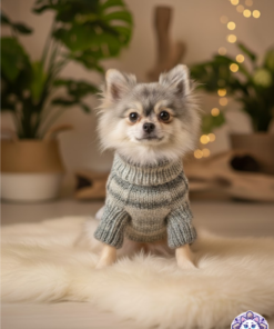 Perro pomerania chiquito usando un suéter de lana y acrílico para perro chiquito color gris.