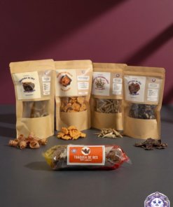 Kit de premios naturales para perro con 5 variedades de snacks deshidratados (tráquea, pollo, pescado) sobre fondo oscuro.