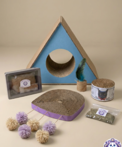 Kit de rascadores y juguetes para gato completo: triángulo, medusa, lata, pasto, plumas y catnip.