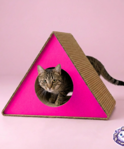 Gato jugando y escondiéndose dentro del túnel del rascador triangular de cartón.